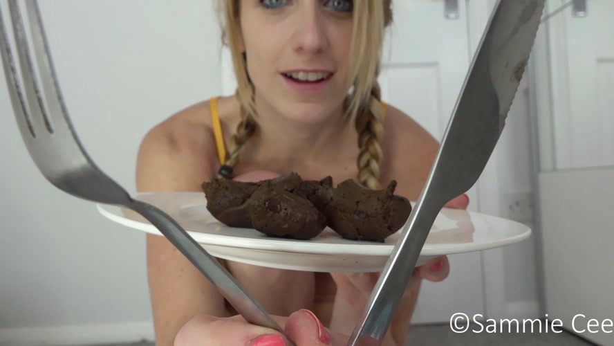 Serving You A Poop Plated Dinner - With Actress: sammiecee  [MPEG-4] (2020) [FullHD 1920x1080]