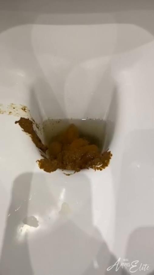 A big pile of shit in the toilet. P1 [MPEG-4] (2024) [HD ]