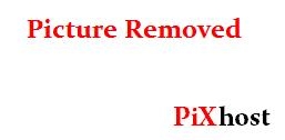 PLBZ – The ass of the human toilet must be punished in order to work properly [MPEG-4] (2025) [HD ]
