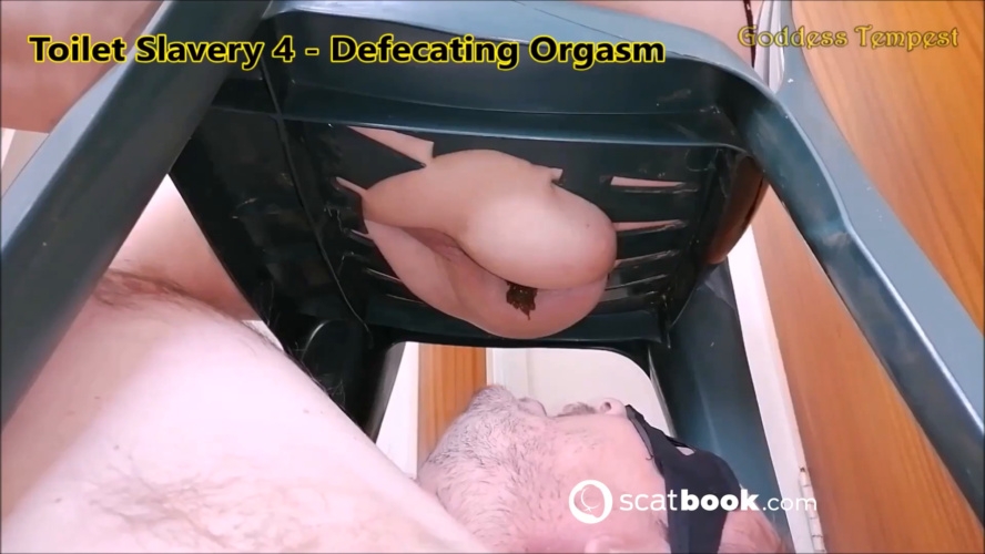 Broken Toilet 26 - Diarrhea Explosion - GODDESS TEMPEST [MPEG-4] (2025) [FullHD ]