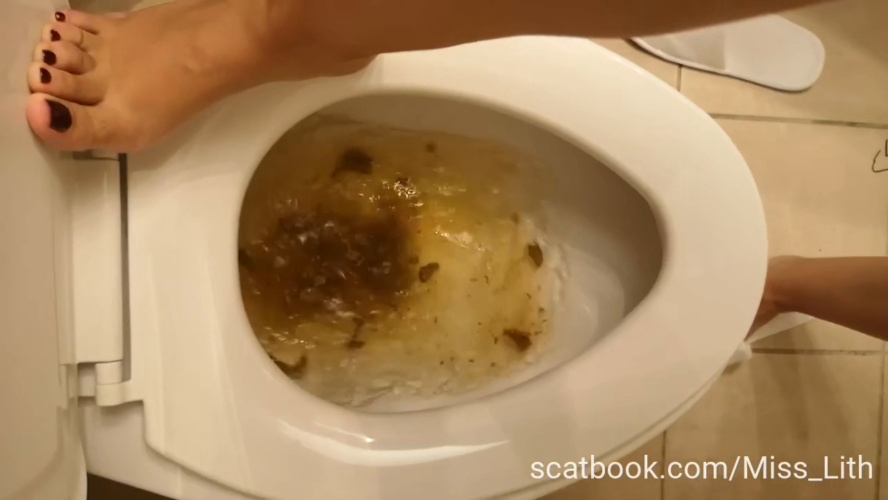 Scat Verbal Humiliation The Toilet is Сlogged P1 [MPEG-4] (2025) [HD ]