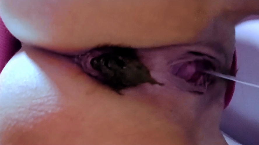 Obsessed With Huge Shit - With Actress: thefartbabes [MPEG-4] (2025) [FullHD ]