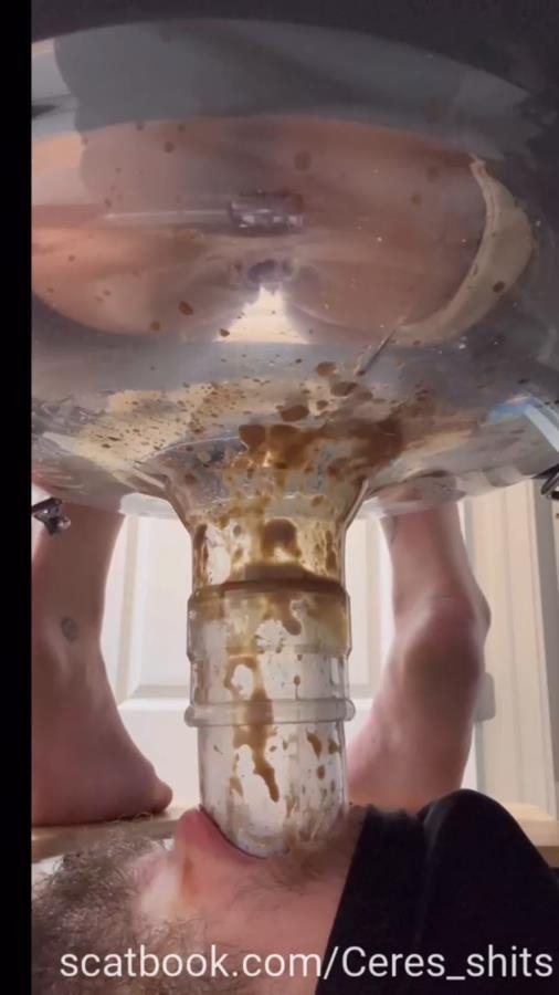 A Day of Shitting Down My Toilet's Throat P1 [MPEG-4] (2025) [SD ]