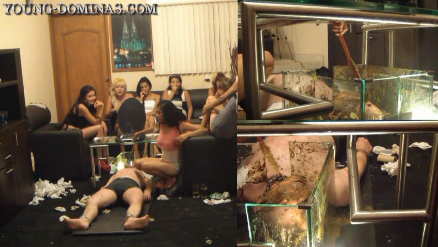 Sorry Slave, you stay, until you swallowed all the Shit Part 10 HD. P1 - With Actress: Young Dominas [MPEG-4] (2025) [HD ]