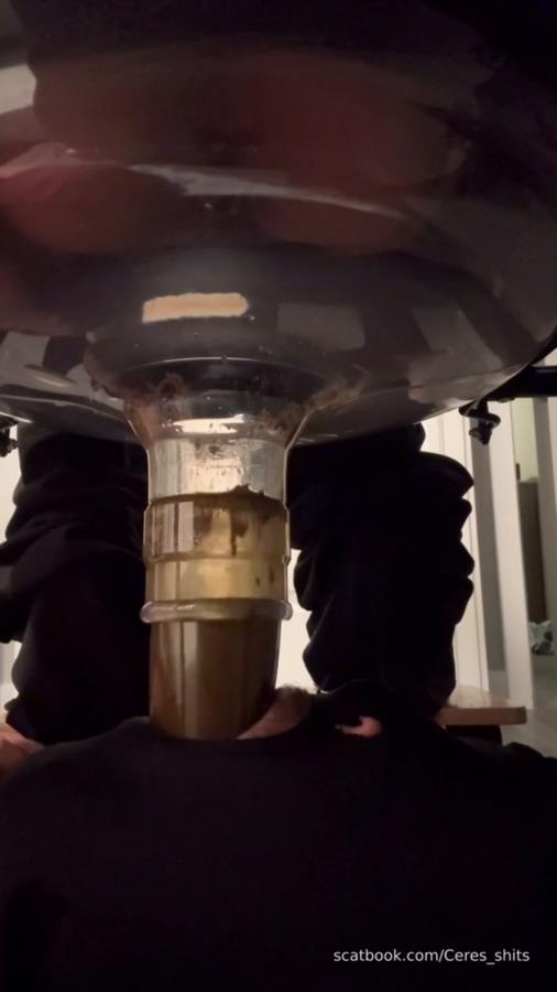 Goddess Ceres-2025-10-19 - Toilet Swallows All My Waste For The Day [MPEG-4] (2025) [SD ]