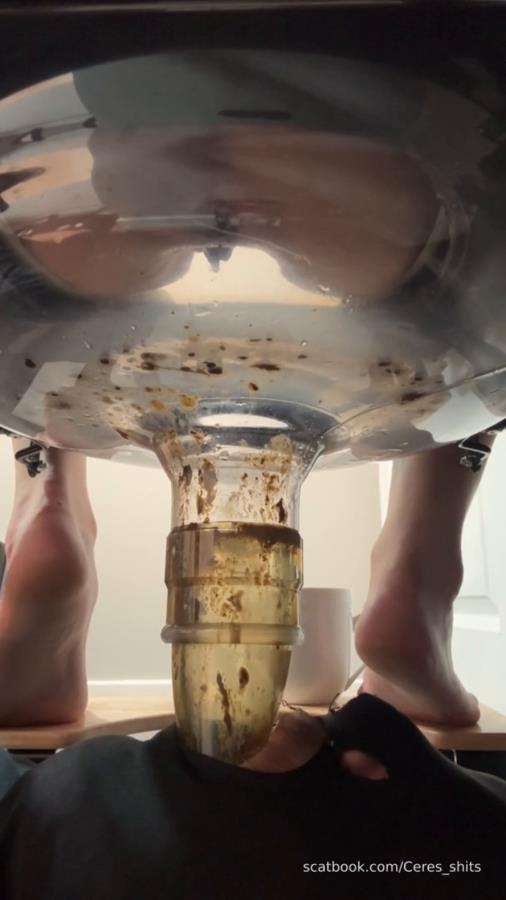 2025-11-03 - My Diarrhea Recepticle - With Actress: Goddess Ceres [MPEG-4] (2025) [SD ]