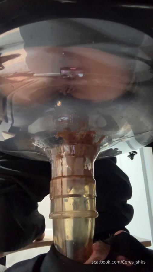 2025-11-13 - A Quick Shit Down My Septic Tanks Throat - With Actress: Goddess Ceres [MPEG-4] (2025) [SD ]