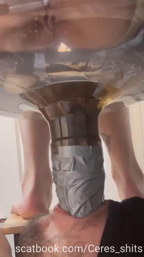 A Full Day Of Humiliation Hiking With A Toilet - With Actress: Goddess Ceres [MPEG-4] (2025) [SD ]