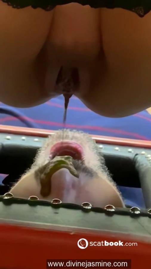 Mon Caca Improvise » Mixfemdomcc - Latest Femdom Porn for Online Streaming - With Actress: DIVINE JASMINE [MPEG-4] (2025) [SD ]