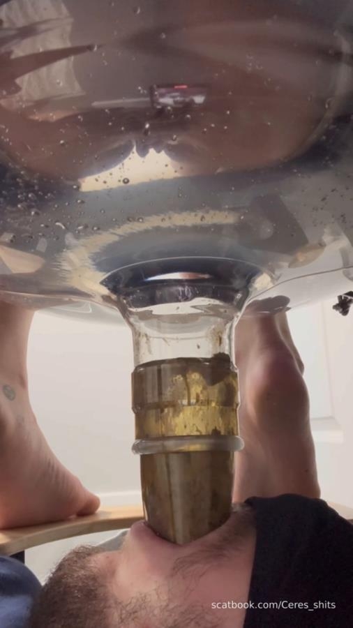 Human Toilet's First Malfunction Infinite Shit Down Your Throat » Mixfemdomcc - Latest Femdom Porn for Online Streaming - With Actress: Goddess Ceres [MPEG-4] (2025) [SD ]