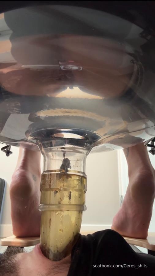 Five Levels of Shit » Mixfemdomcc - Latest Femdom Porn for Online Streaming - With Actress: Goddess Ceres [MPEG-4] (2025) [SD ]