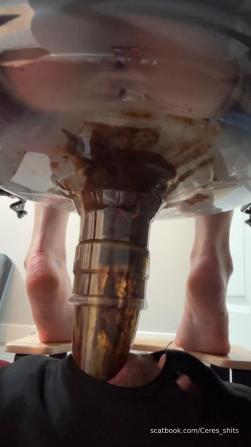 Daily Toilet Torture » Mixfemdomcc - Latest Femdom Porn for Online Streaming - With Actress: Goddess Ceres [MPEG-4] (2025) [SD ]