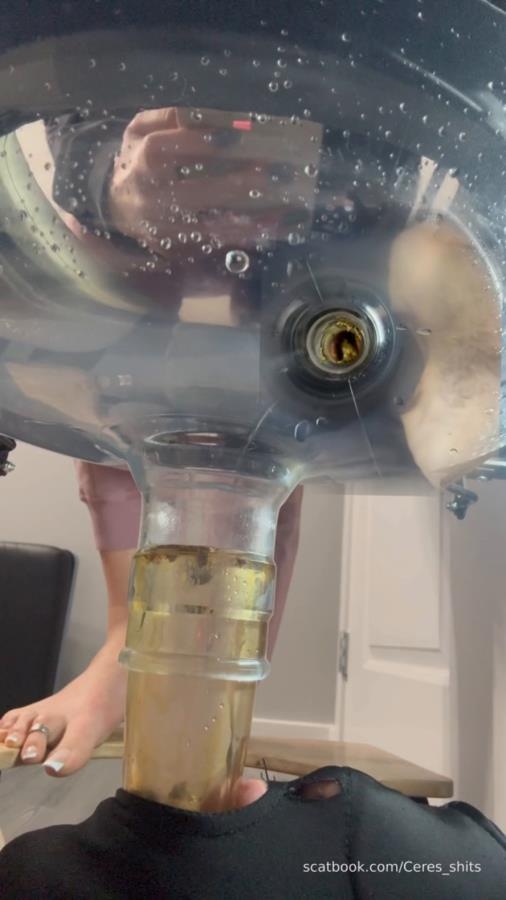 Septic Tank Almost Fails » Mixfemdomcc - Latest Femdom Porn for Online Streaming - With Actress: Goddess Ceres [MPEG-4] (2025) [SD ]