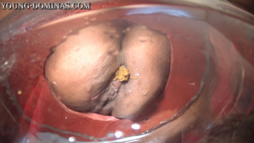 The Poop Barril Part 2 HD Britany. P1 [MPEG-4] (2026) [HD ]