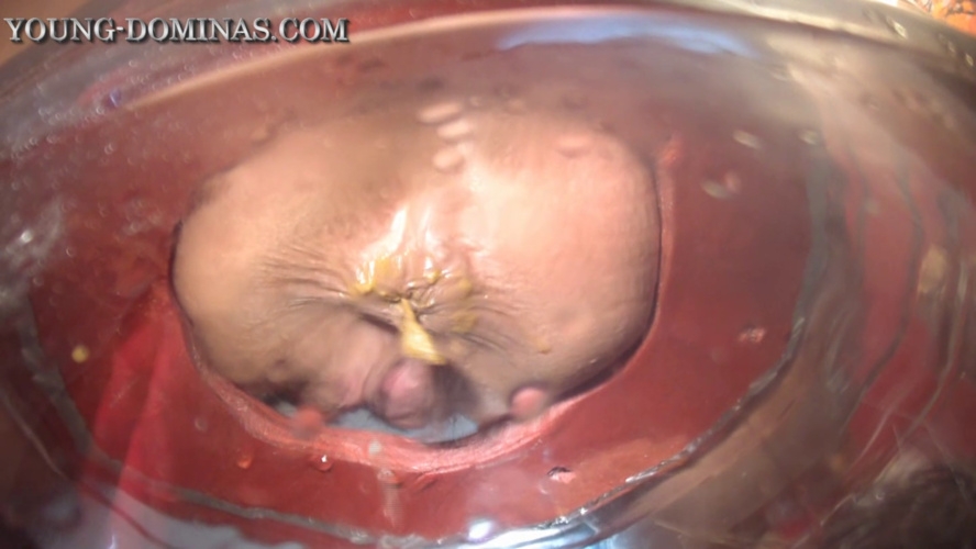 The Poop Barril Part 3 HD. P1 [MPEG-4] (2026) [HD ]