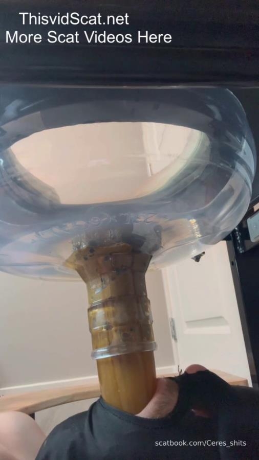 Toilet Slave Orgasm Control Single Angle P1 - With Actress: Goddess Ceres [MPEG-4] (2026) [SD ]