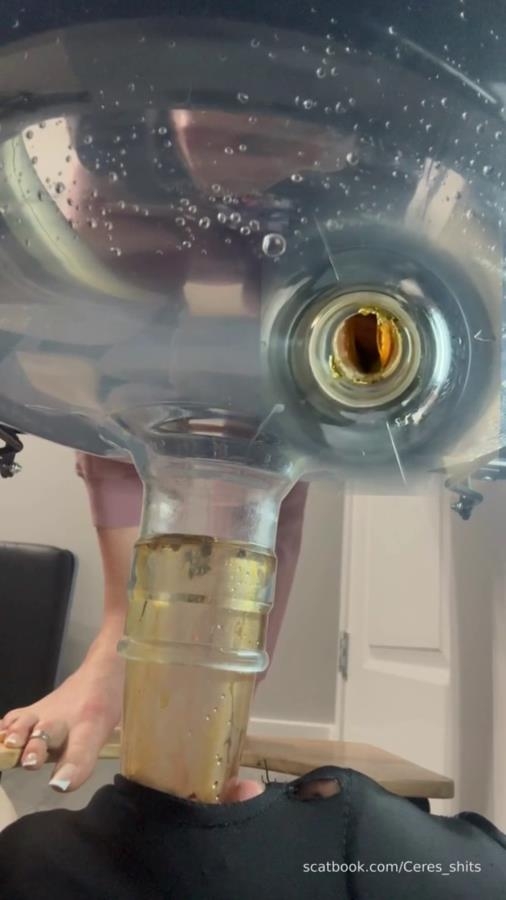 Septic Tank Almost Fails P1 [MPEG-4] (2026) [SD ]