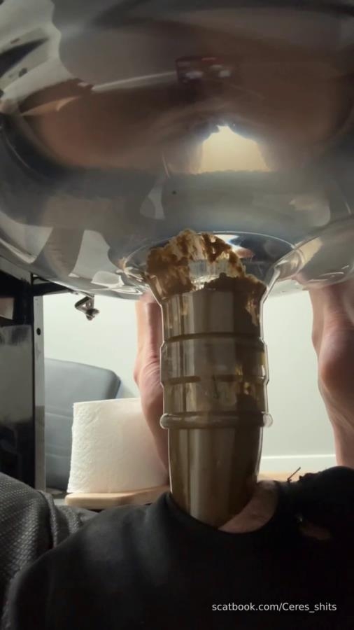 Daily Toilet Torture P1 [MPEG-4] (2026) [SD ]