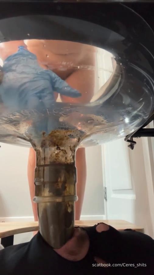 24 Minutes of Daily Toilet Slave Destruction P1 [MPEG-4] (2026) [SD ]