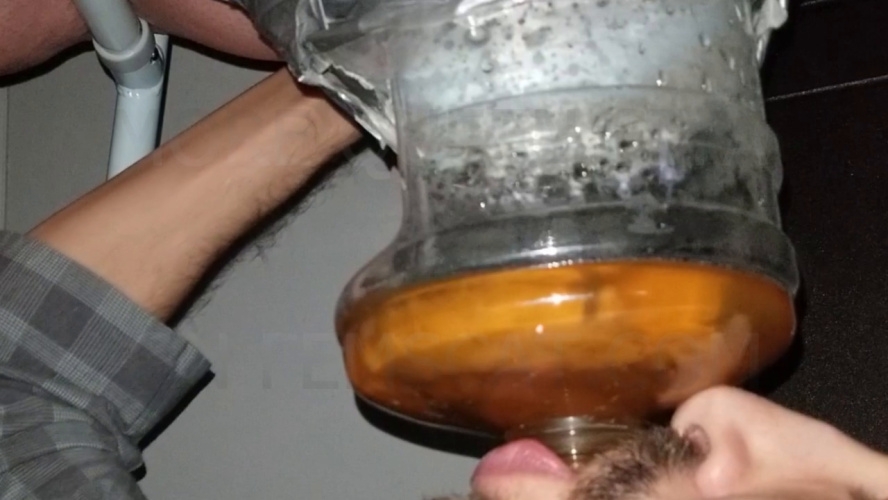 SSBBW Queen Siya - 2 Scenes - Gassy Pee and Constipated Logs [MPEG-4] (2026) [HD ]