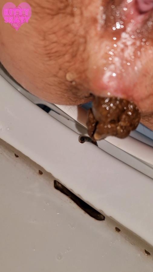 Four unflushable logs [MPEG-4] (2026) [SD ]