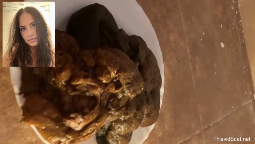 A huge pile of shit goes into the toilet. P1 [MPEG-4] (2026) [HD ]