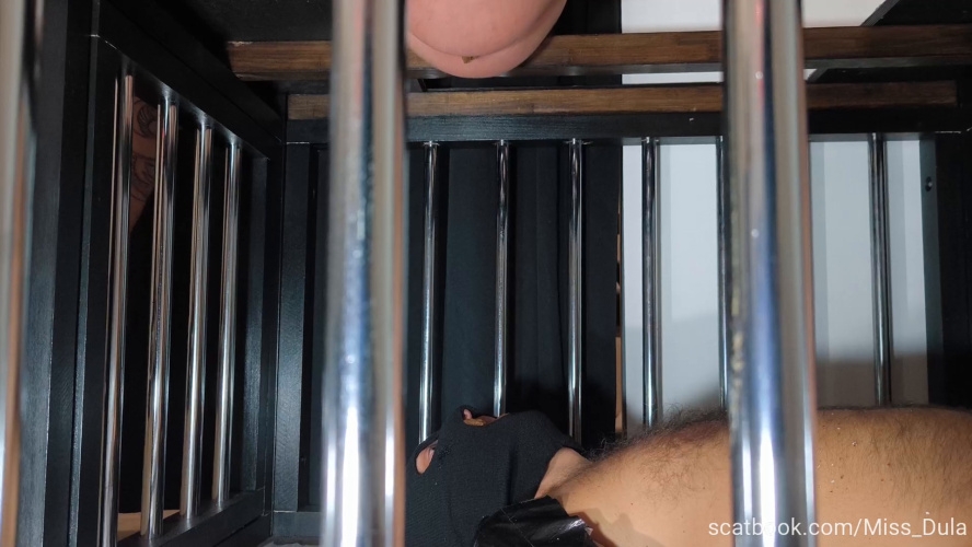 My Poop In His Mouth » Mixfemdomcc - Latest Femdom Porn for Online Streaming - With Actress: MISS DULA [MPEG-4] (2026) [FullHD ]