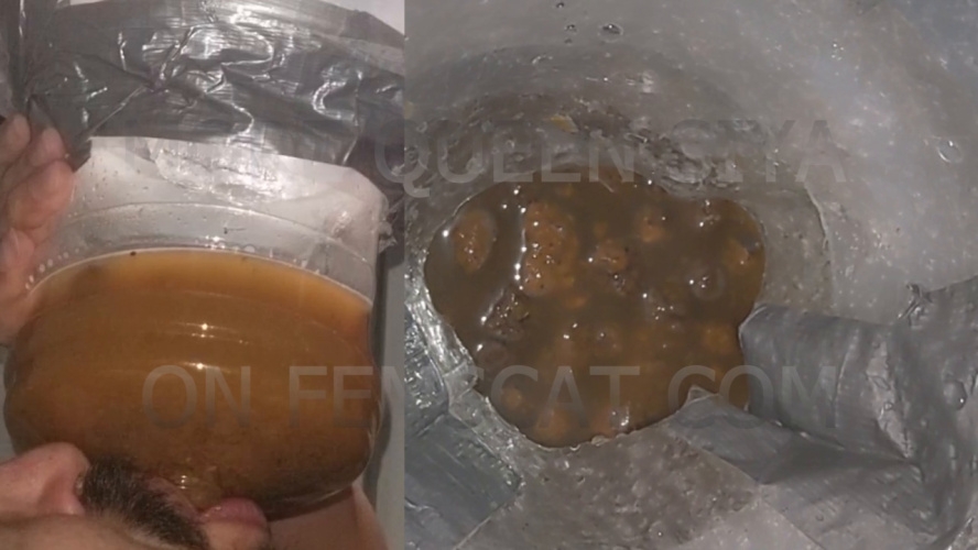 2 Scenes - On all Fours, Vile Diarrhea [MPEG-4] (2026) [HD ]