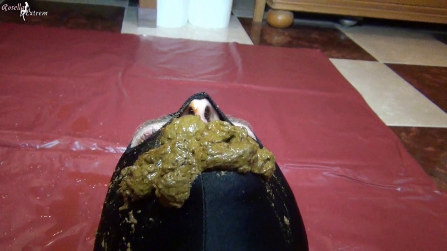 Slave in doggystyle, pooping, in his mouth - With Actress: RosellaExtrem [MPEG-4] (2026) [FullHD ]