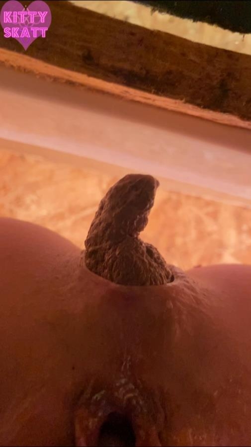 POV hookup in festival toilet - With Actress: Kitty Skatt [MPEG-4] (2026) [SD ]