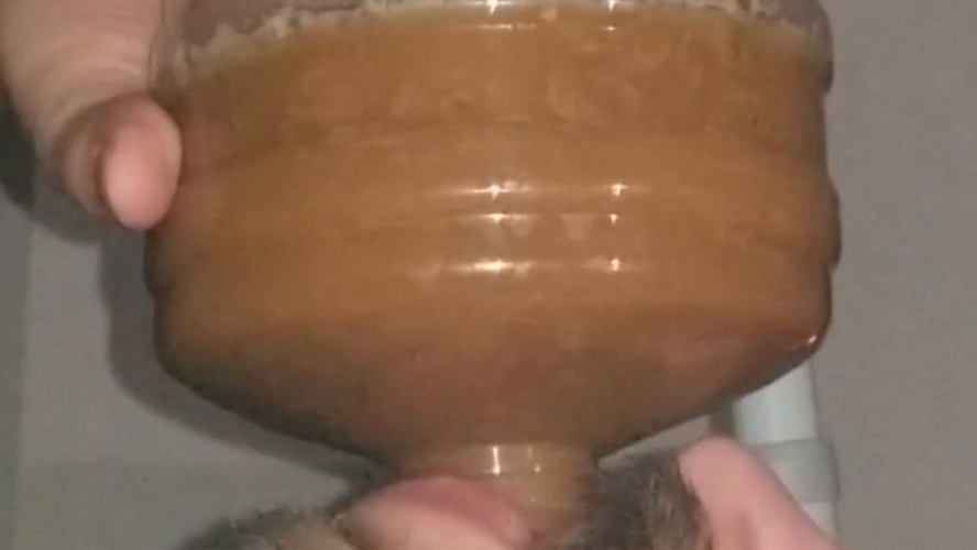 Chugging LITERS of my poop-flavored pee - With Actress: SSBBW Queen Siya [MPEG-4] (2026) [HD ]