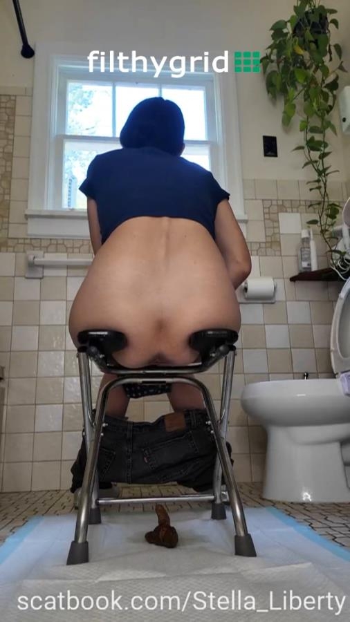 Number Two with the Toilet Chair [MPEG-4] (2026) [SD ]